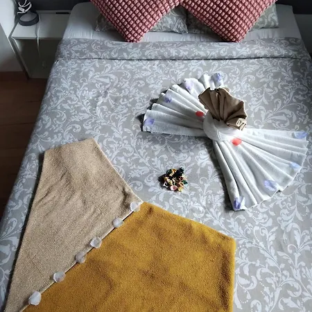 旅馆 猫头鹰旅舍
