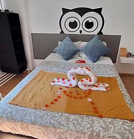 旅馆 猫头鹰旅舍 *