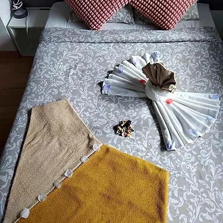 猫头鹰旅舍 *